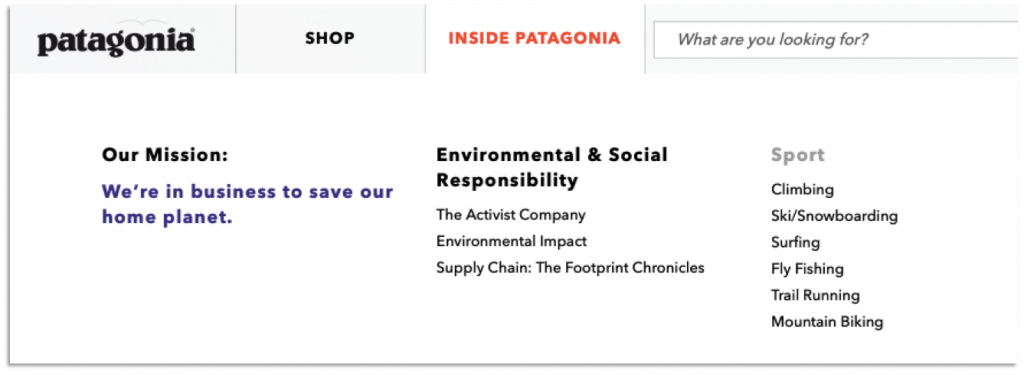 Patagonia: Brand purpose sustainability