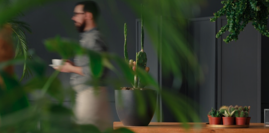 Man in a very green, foliage-laden office